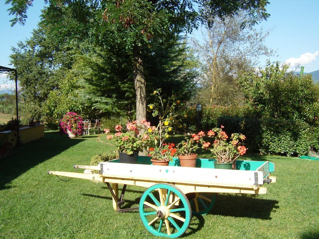 Incisa in Val d'Arno B&B Casale Ginette מראה חיצוני תמונה