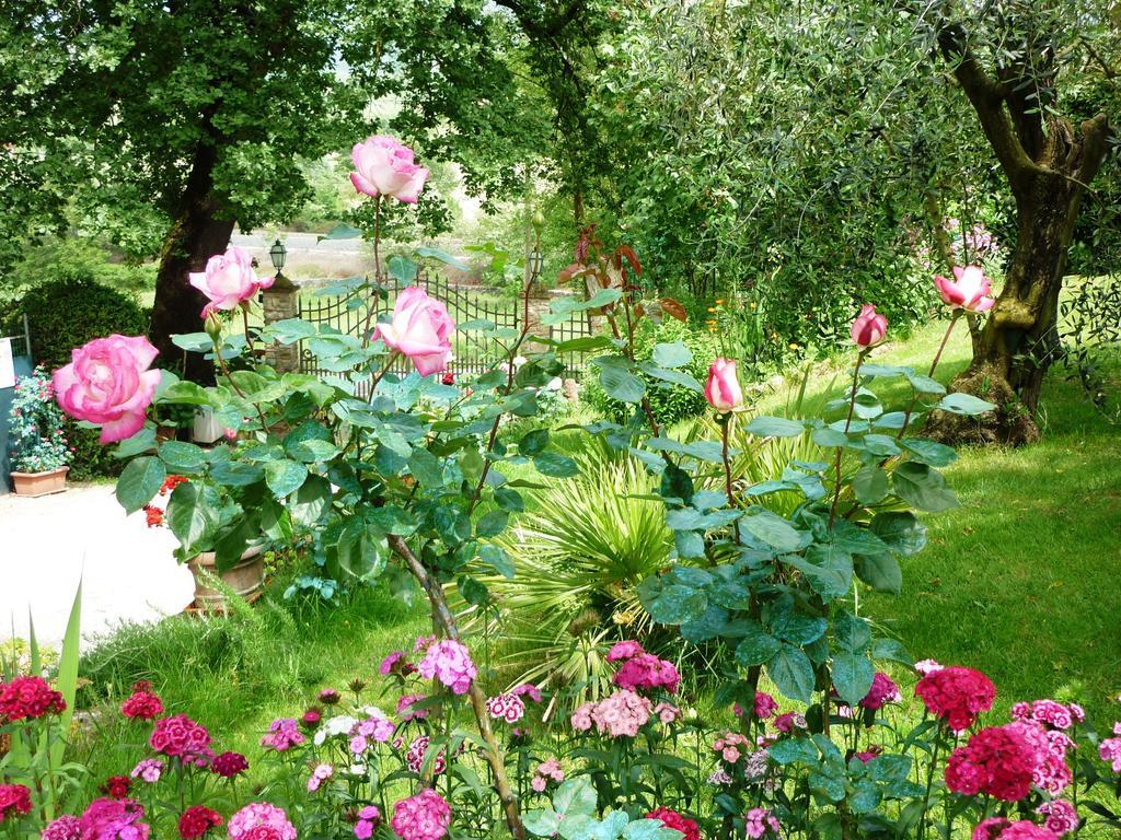 Incisa in Val d'Arno B&B Casale Ginette מראה חיצוני תמונה